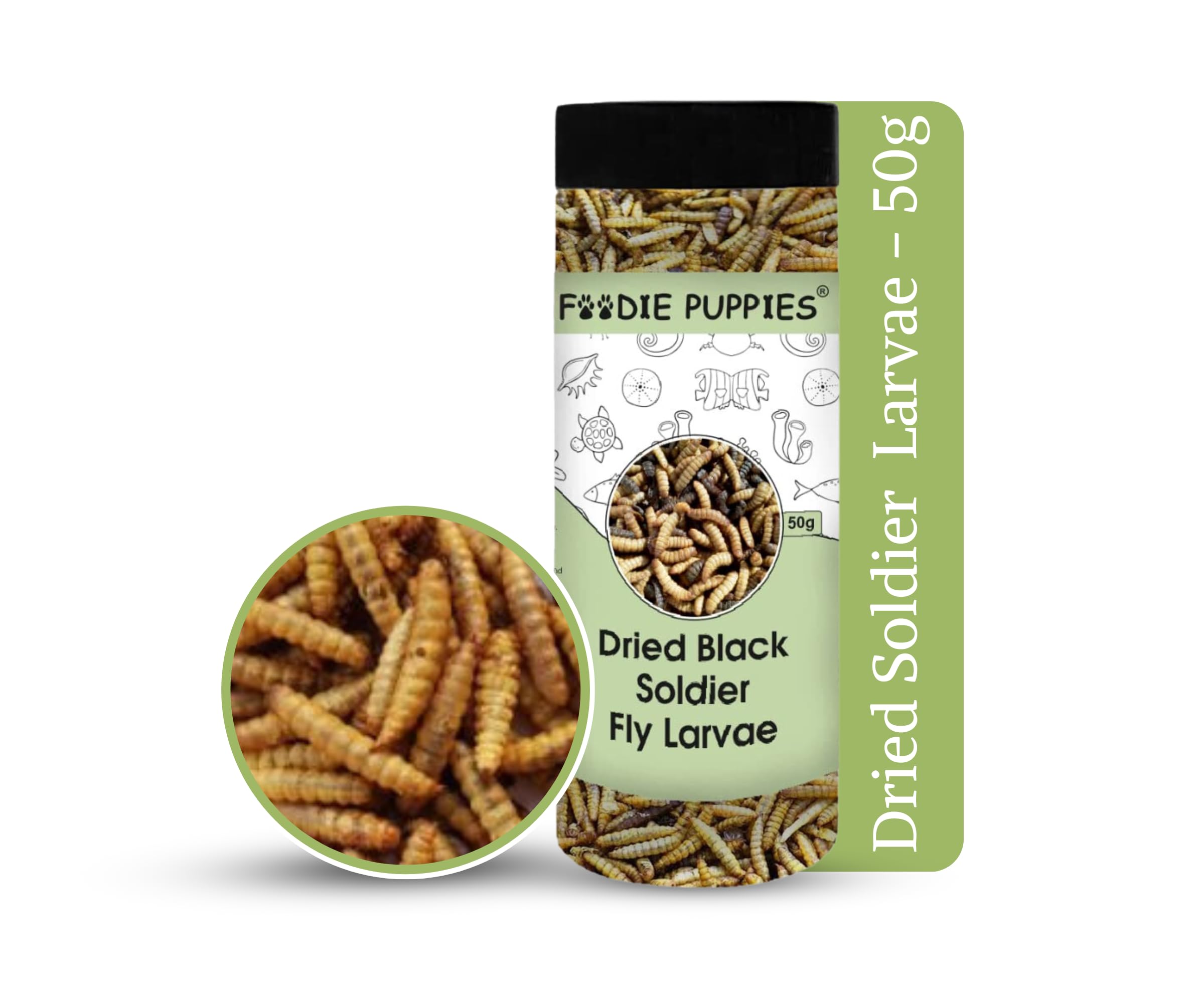 Foodie Puppies Dried Black Soldier Fly Larvae 50gm (Pack of 1) - Fish Food for Bettas, Tetras, Arowana, Flowerhorn, Oscar, Blood Red Parrot and Other Reptiles (B0B3MY5BWK) Amazon Price History, Amazon Price Tracker