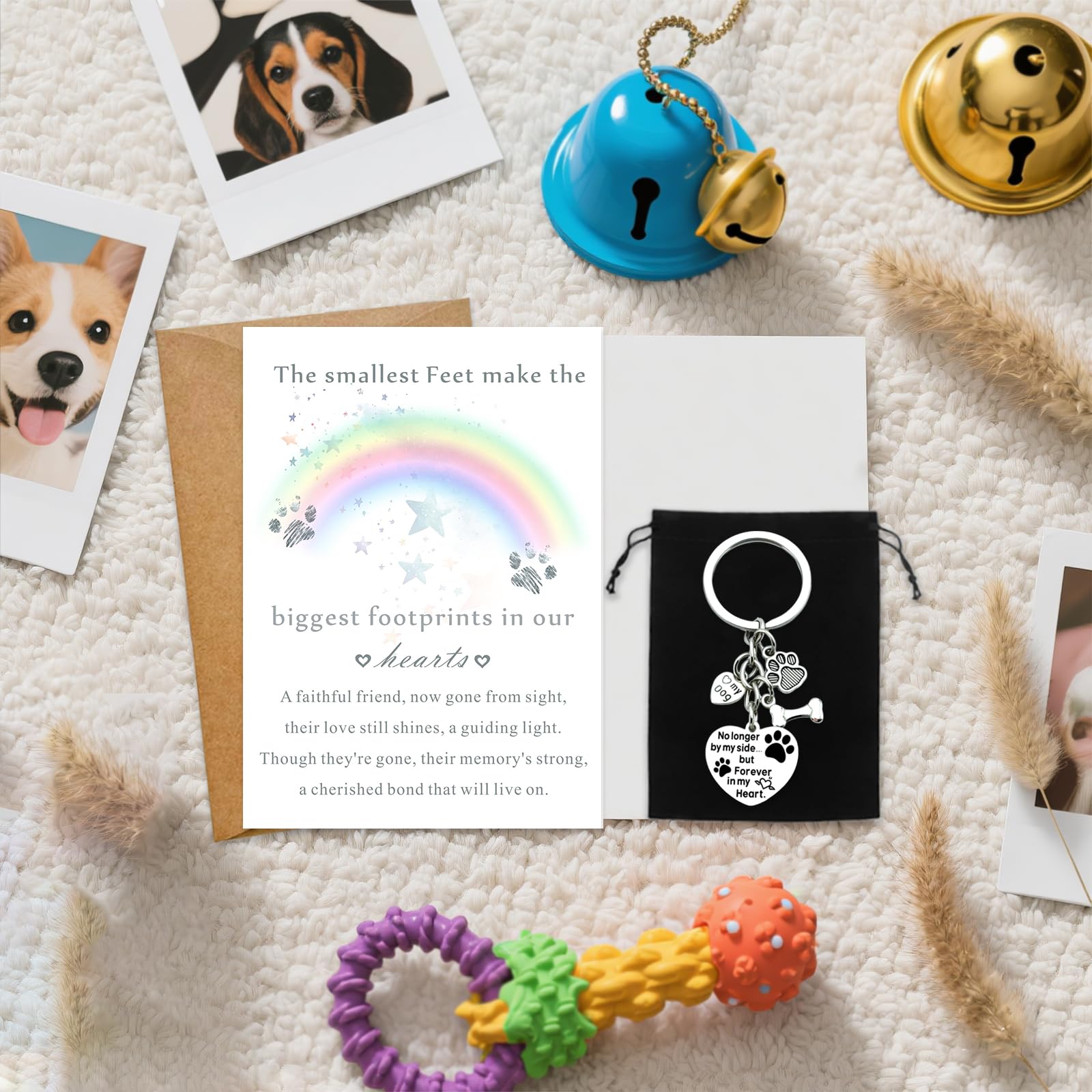 Regalo commemorativo per animali domestici, regalo