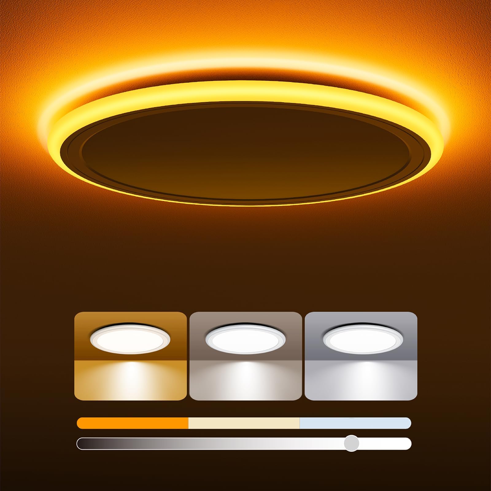 Dimmable Ceiling Light