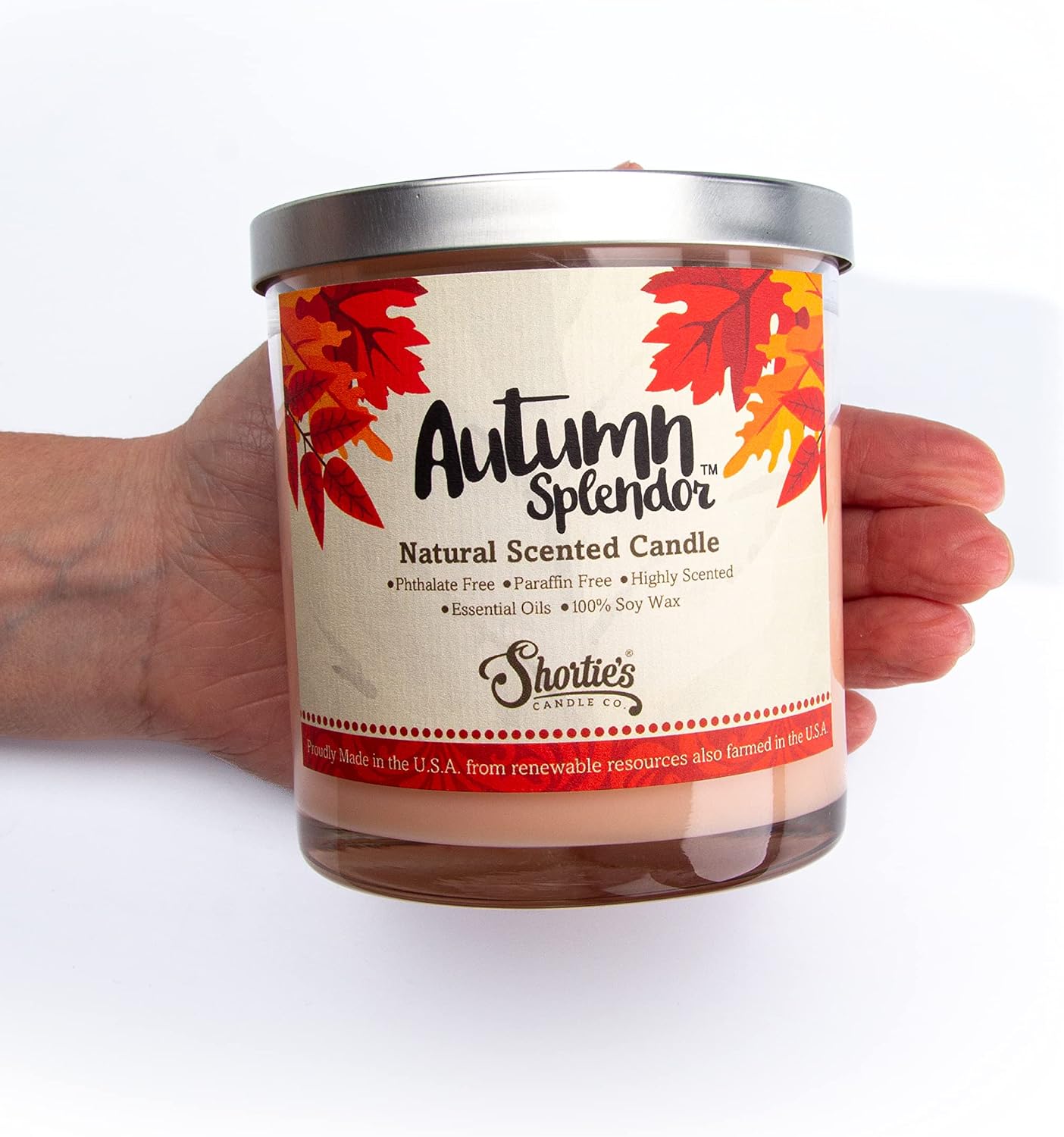Autumn Splendor Scented Natural Soy Candle, Essential Fragrance Oils, 100% Soy, Phthalate & Paraben Free, Clean Burning, 9 Oz.