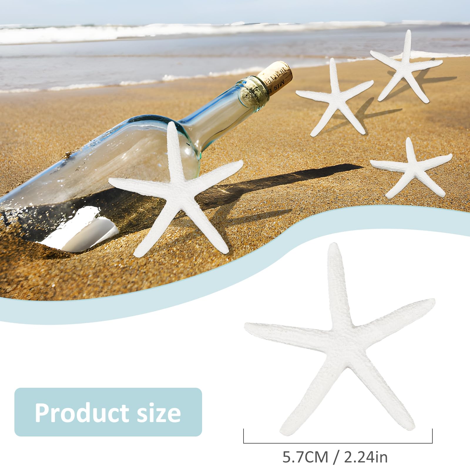 Coquillages mélangés étoile de mer coquillage naturel pour plage thème fête mariage décor