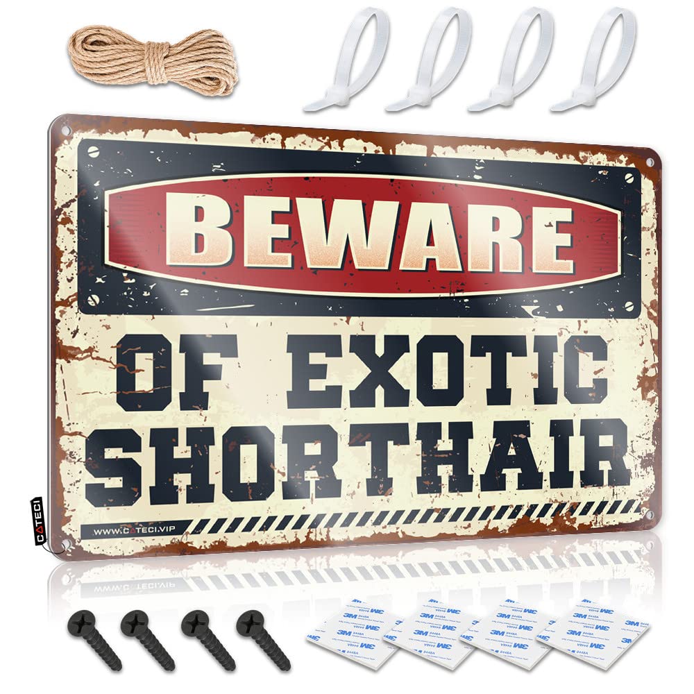 Fzfn Colour Vintage Wall Decor Stunning Cottage Essentials Beware Of Exotic Shorthair - Vintage Wall Decor For Office(30X40cm)