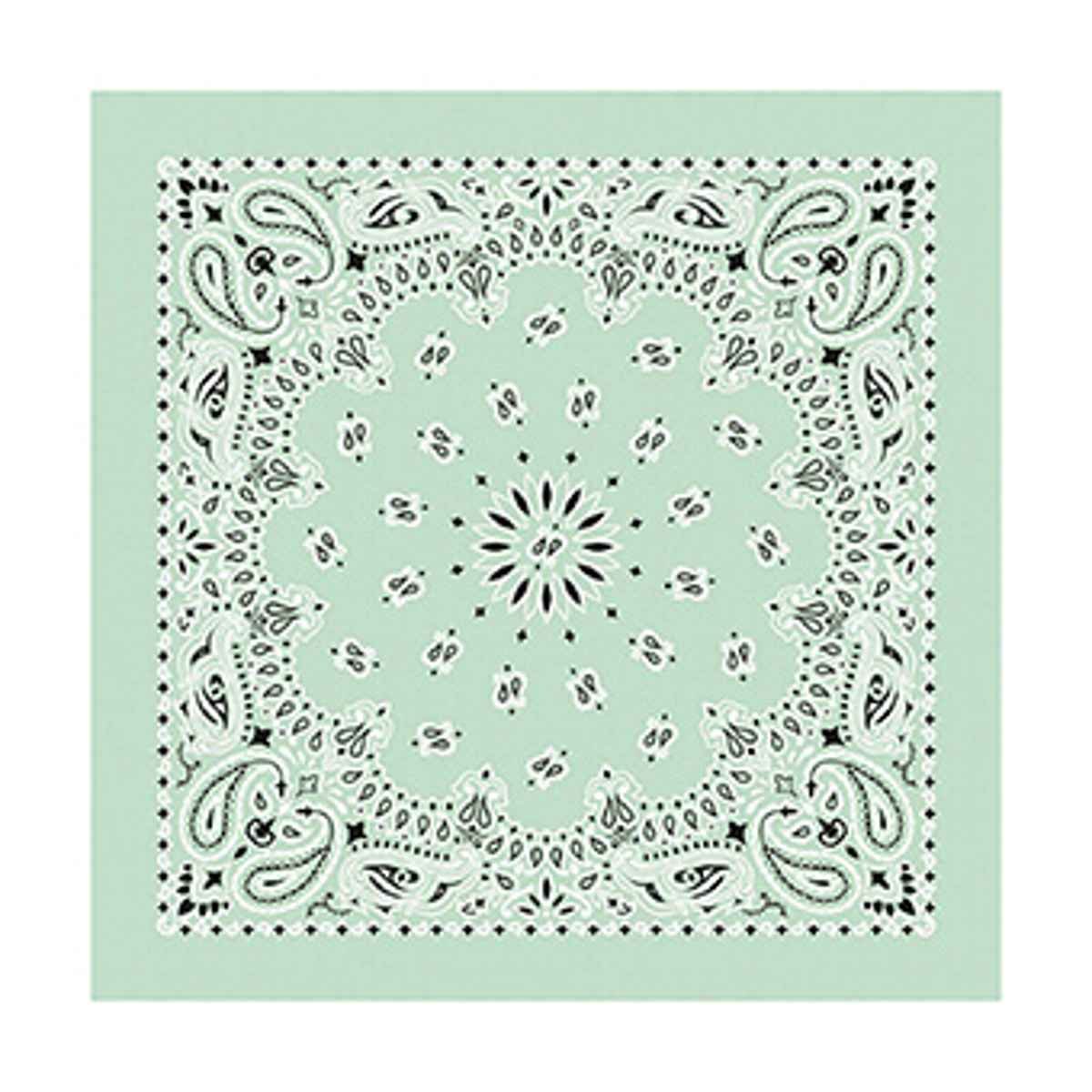Carolina Manufacturing Bandana Paisley Mint B22PAI-000066