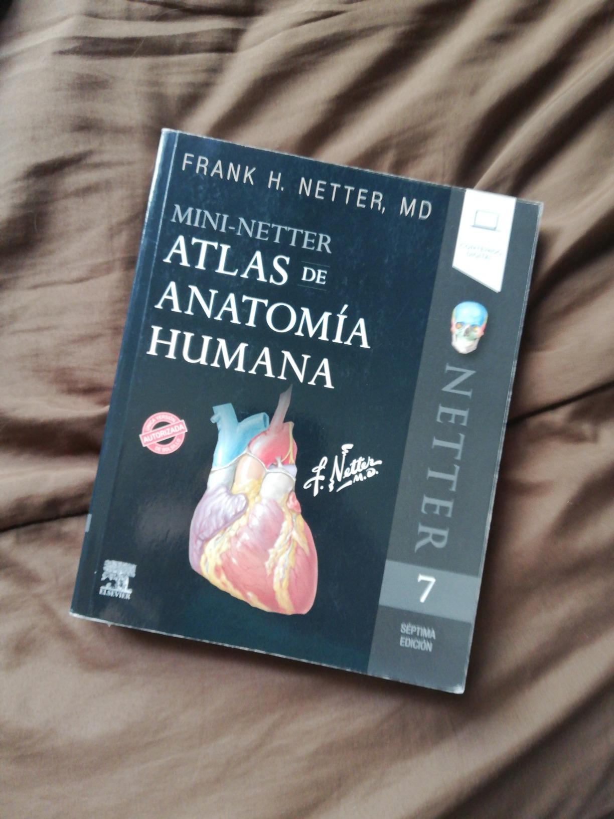 Mini-Netter. Atlas de anatomía humana : Frank H. Netter: Amazon.com.mx ...