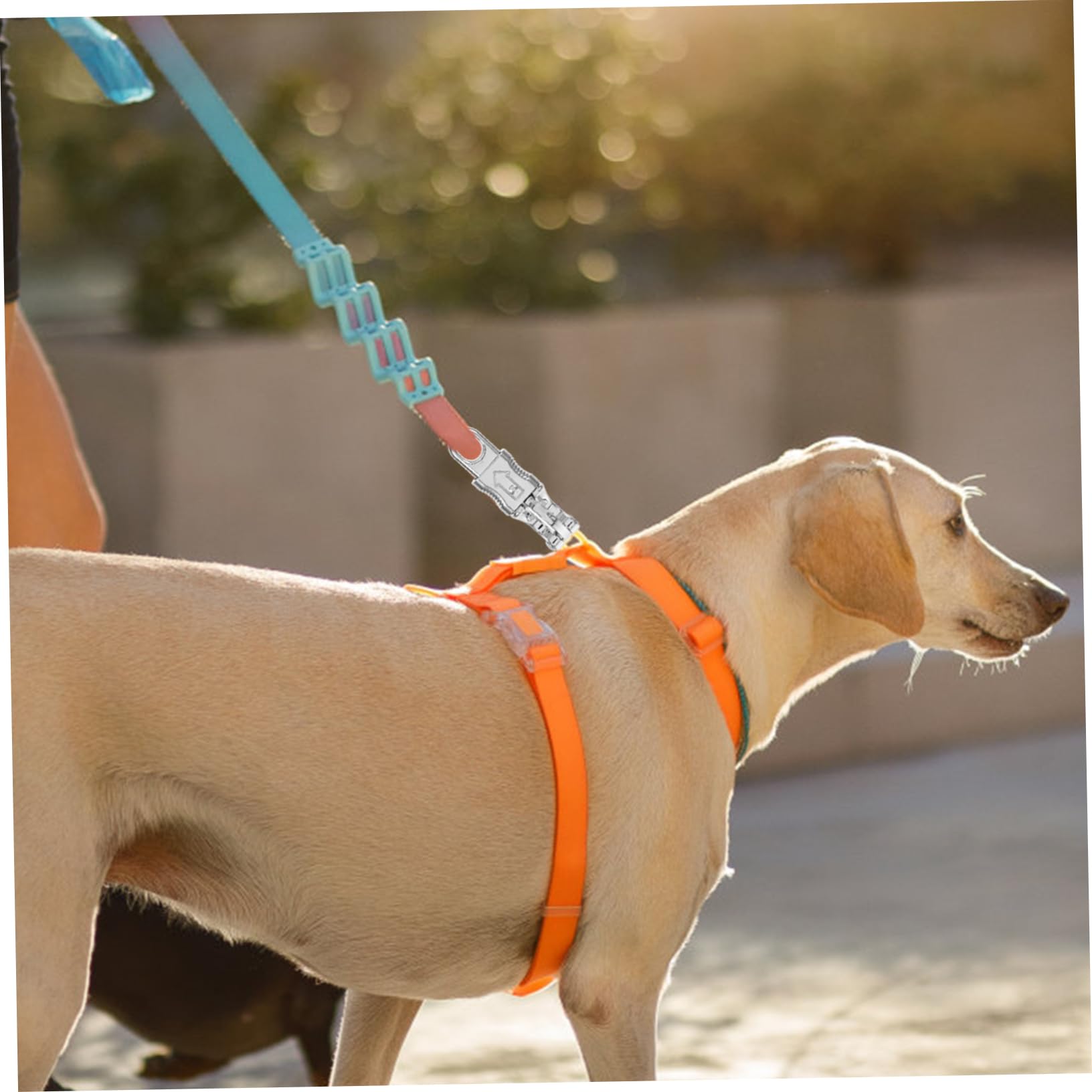 Amazon.co.jp: 犬用リード留め具 亜鉛合金 スナップフック 二重 設計