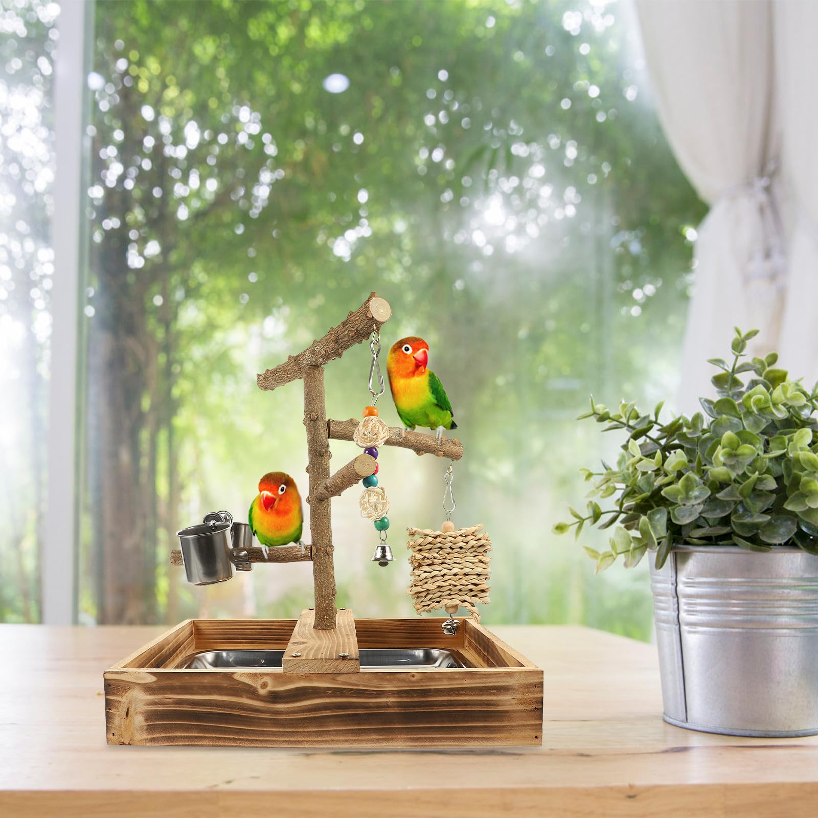 SOIMISS Support à Oiseaux en Bois Naturel pour Perruches et Perroquets, Perchoir Résistant Favorisant l'exercice et Jeu Interactif à Domicile
