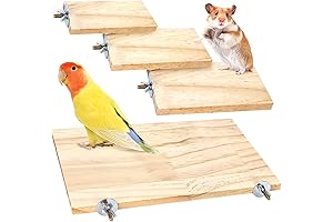BILLIOTEAM Dove Perch 4 Pack Bird Wood Stand Platform Shelf
