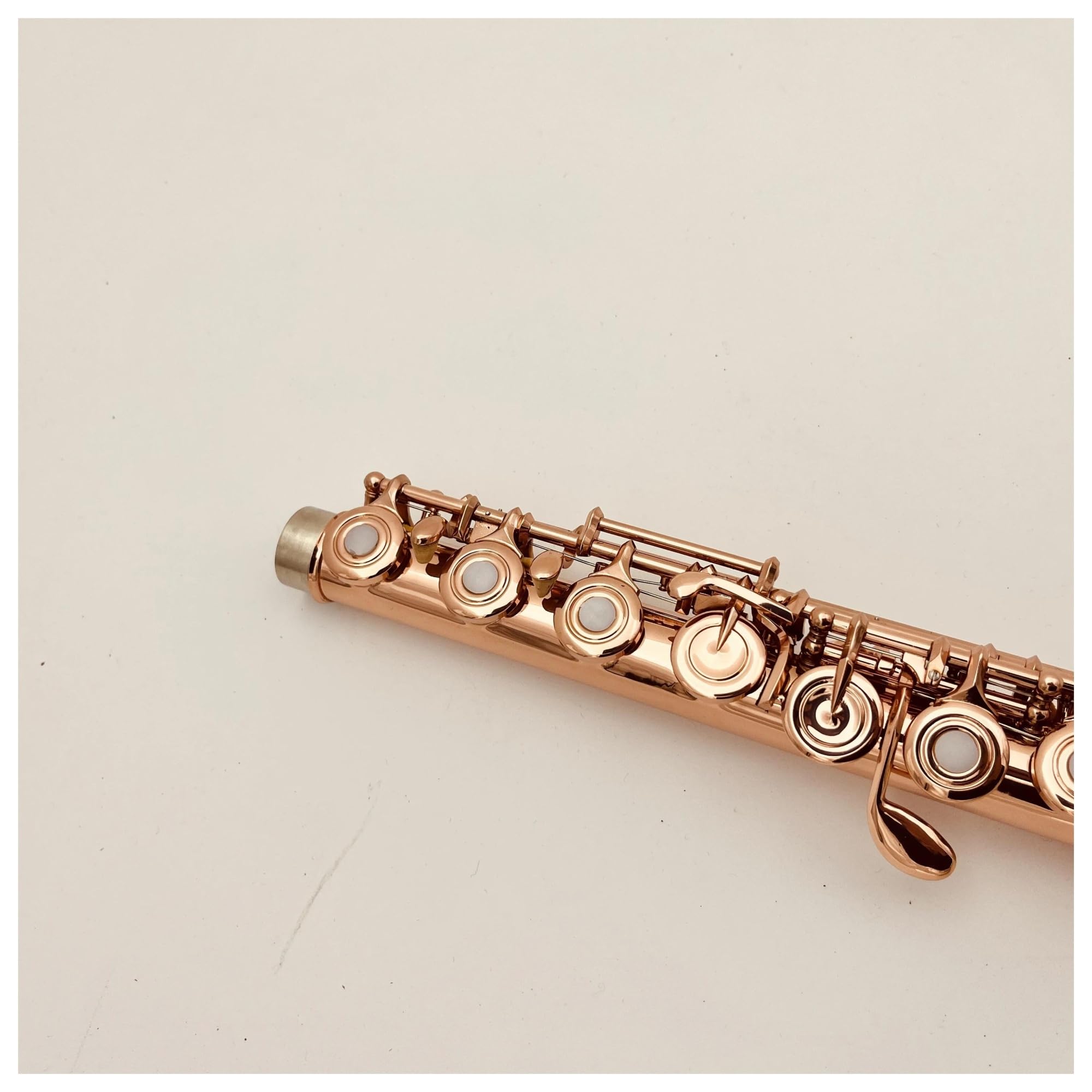Flauto 17 fori chiusi C Tune Strumento musicale professionale