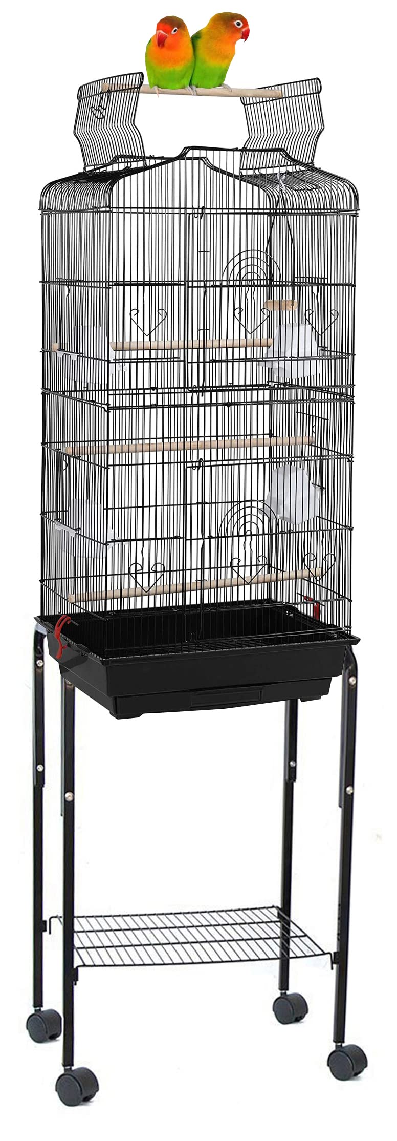 10 Best Indoor Sun Conure Bird Cages for Comfortable Living