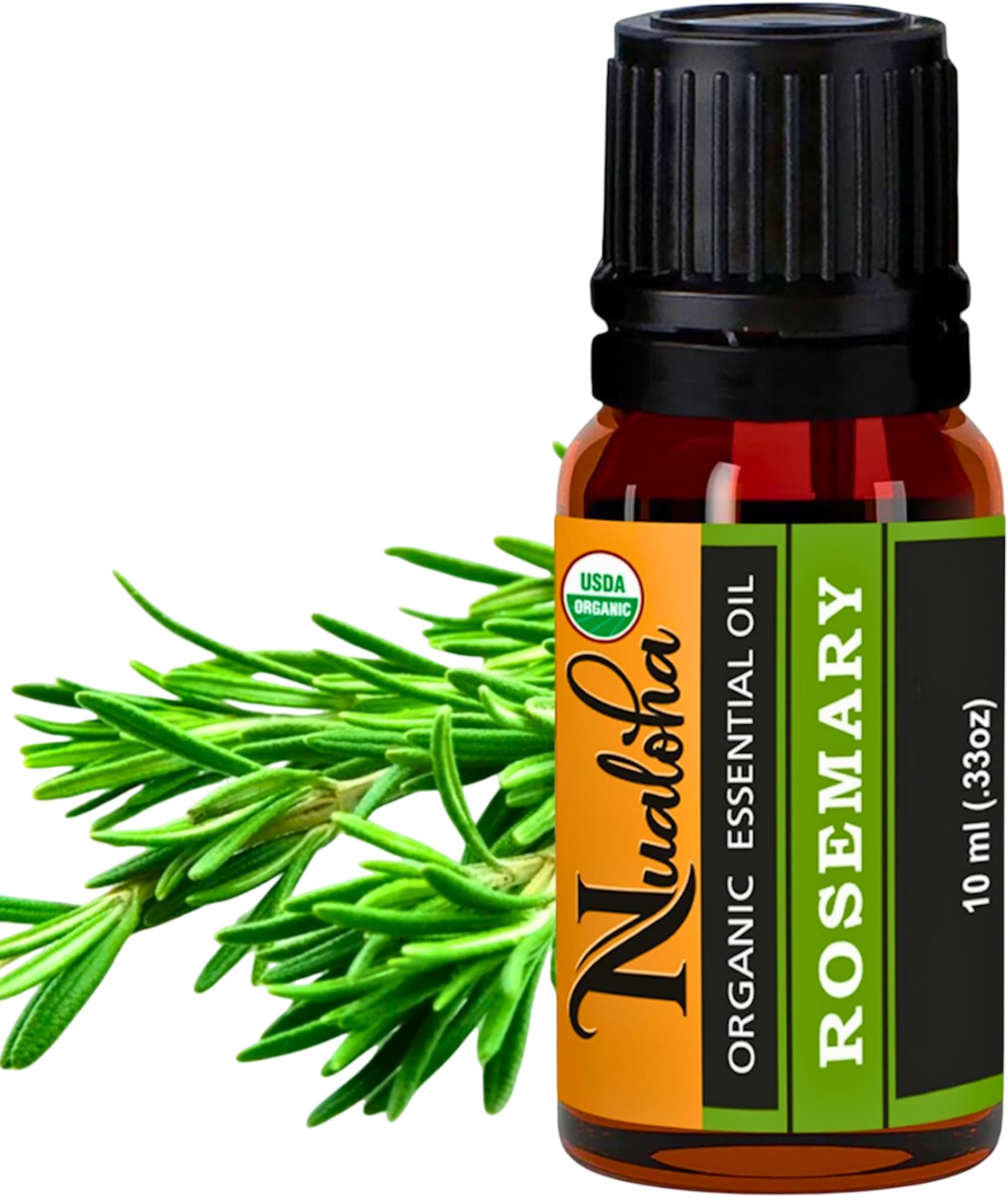 Organic Rosemary Oil For Hair Growth, Skin, Body, Aromatherapy and Massage, 100% Pure Natural Therapeutic Grade Essential Oil (10 ml)