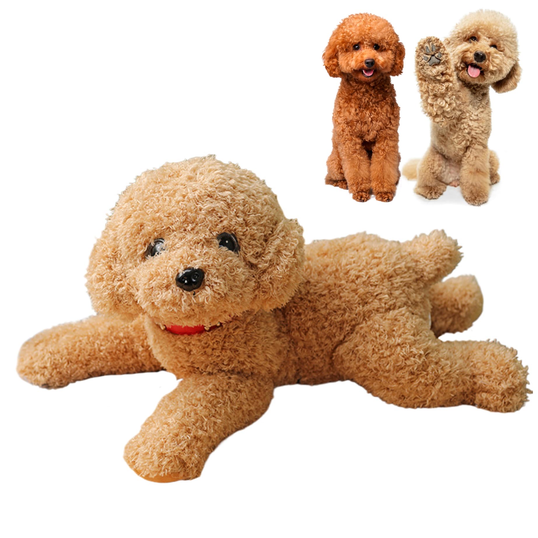 Hundeplüsch, süßer, lebendiger Teddy-Hund, Paarungsspielzeug, 35, 6 cm, mit Baumwolle gefülltes Plüschtier mit Halsband, dekorativ gefüllt für Couch, Sofa, Bett, Beige.