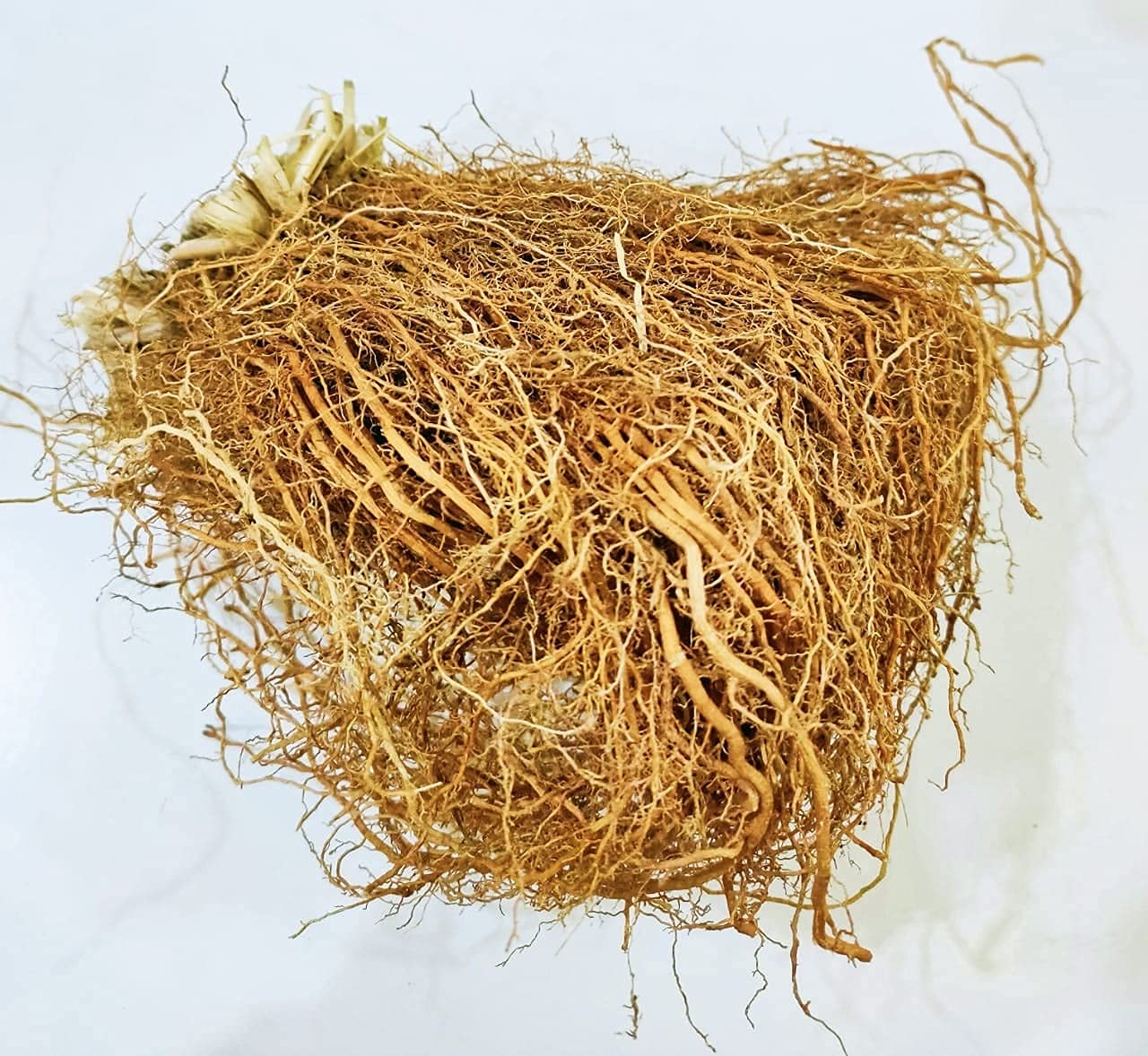 Veena Khas Root - 400 GMS khus Grass Khus Jad Ushira Vetiver Roots Vetiveria Zizanioides Ramacham
