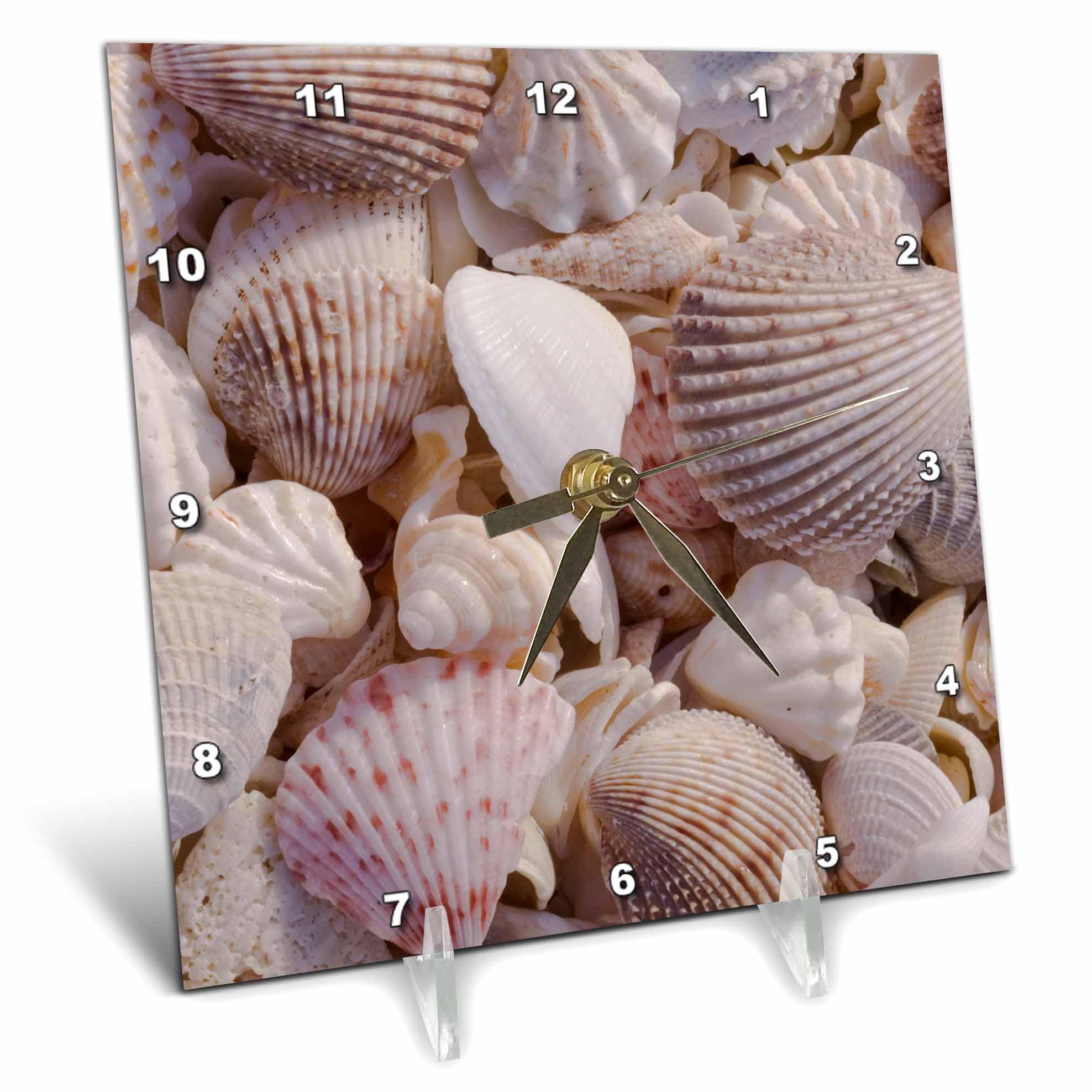 3dRose dc_94909_1 USA, FL, Sanibel, Seashells Washed Up on Beach-US45 RTI0045-Rob Tilley-Desk Clock, 6 by 6-Inch