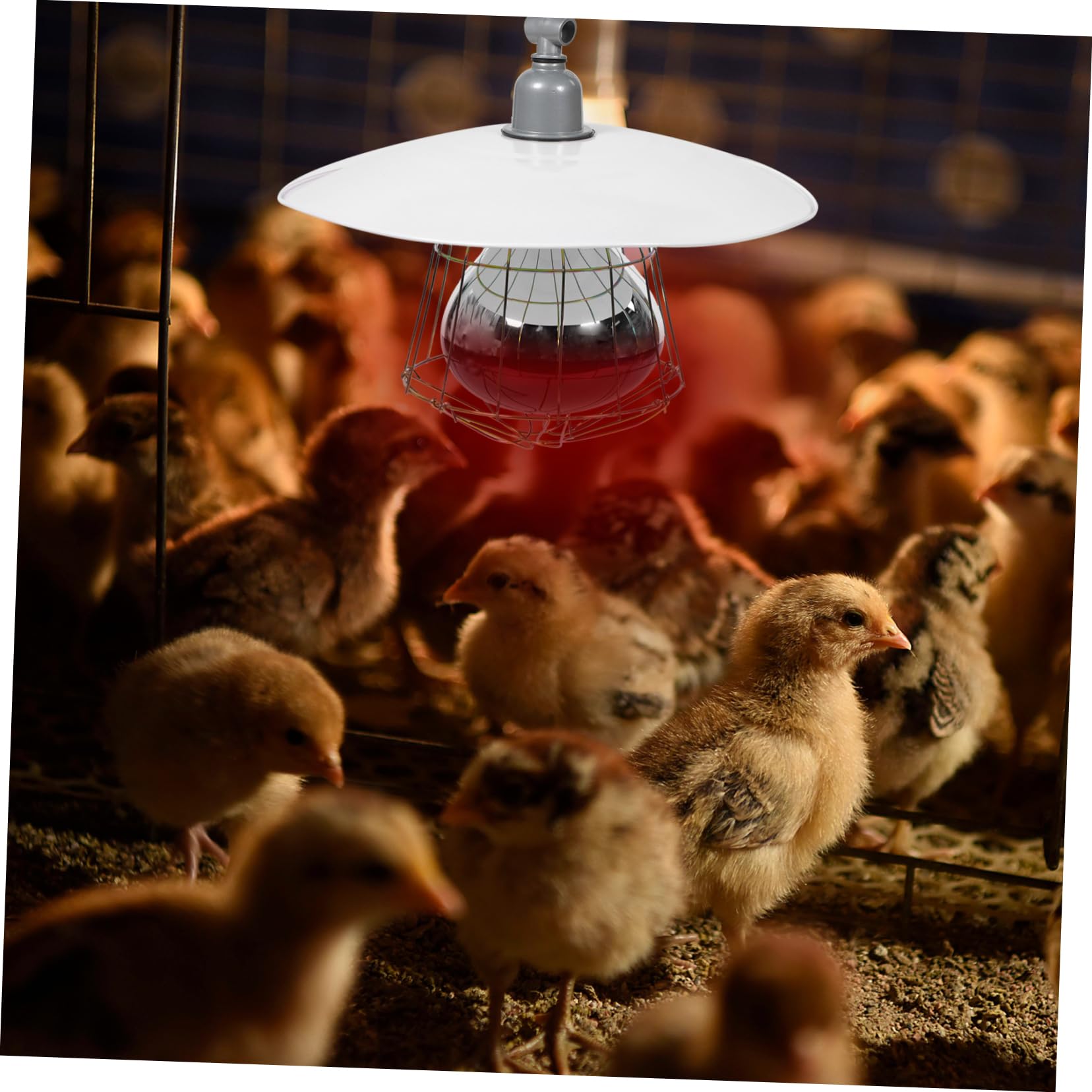 Gatuida Lampada Riscaldante Per Gabbie Per Bestiame e Rettili 250w in Metallo Copertura in Rete, Luce Calda Efficiente Per Animali Domestici e Allevamenti, Facile Installazione e Durata Elevata