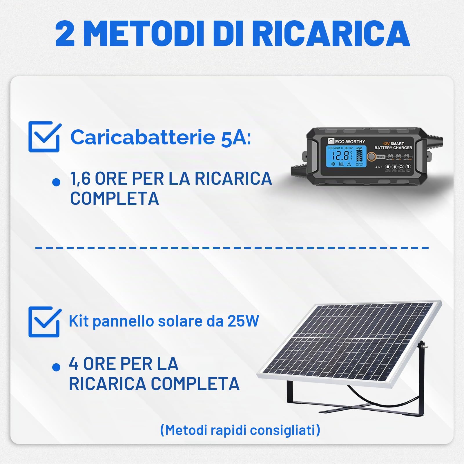ECO-WORTHY Batteria LiFePO4 12V 8AH, batteria al litio a ciclo profondo con BMS da 8A, con oltre 4000 cicli, per solare, localizzatore di pesci, ruote di potenza, illuminazione, sistema di allarme