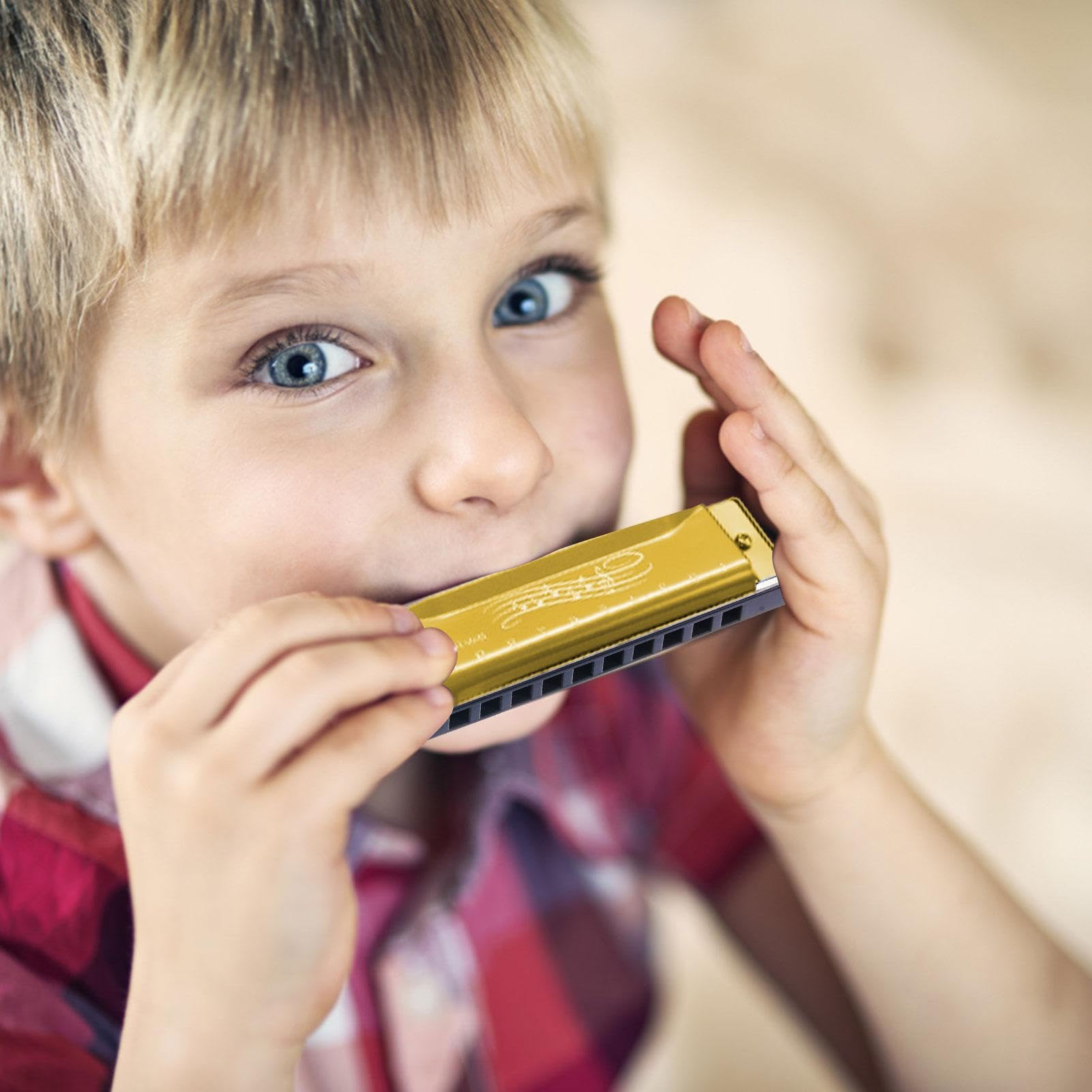 Armonica per bambini | Arpa per armonica a bocca - Strumento musicale a 10 | buche e 20 toni per bambini, adulti, principianti, professionisti, insegnamento della infanzia