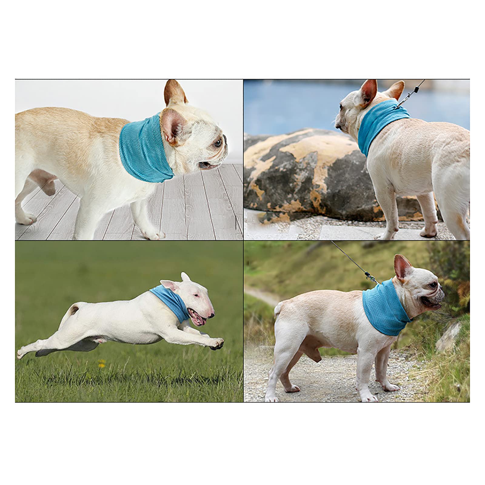 Ranley Kühlendes Halsband Tuch | Wiederverwendbar Für Sport & Outdoor