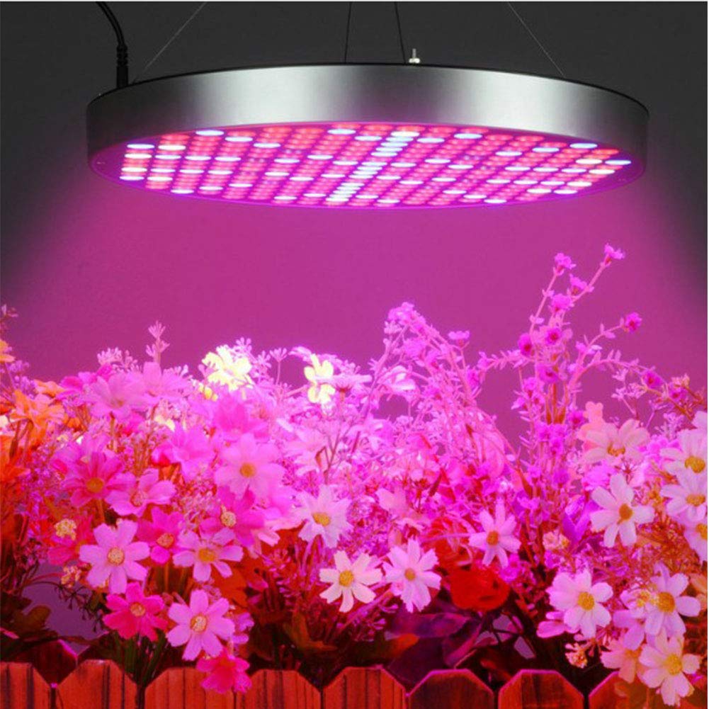 Luces de Cultivo de Plantas LED, 50W 250 LED Plantas de Interior Bombillas de lámpara de Cultivo con Planta de hidroponía de Espectro Azul Rojo, Redonda