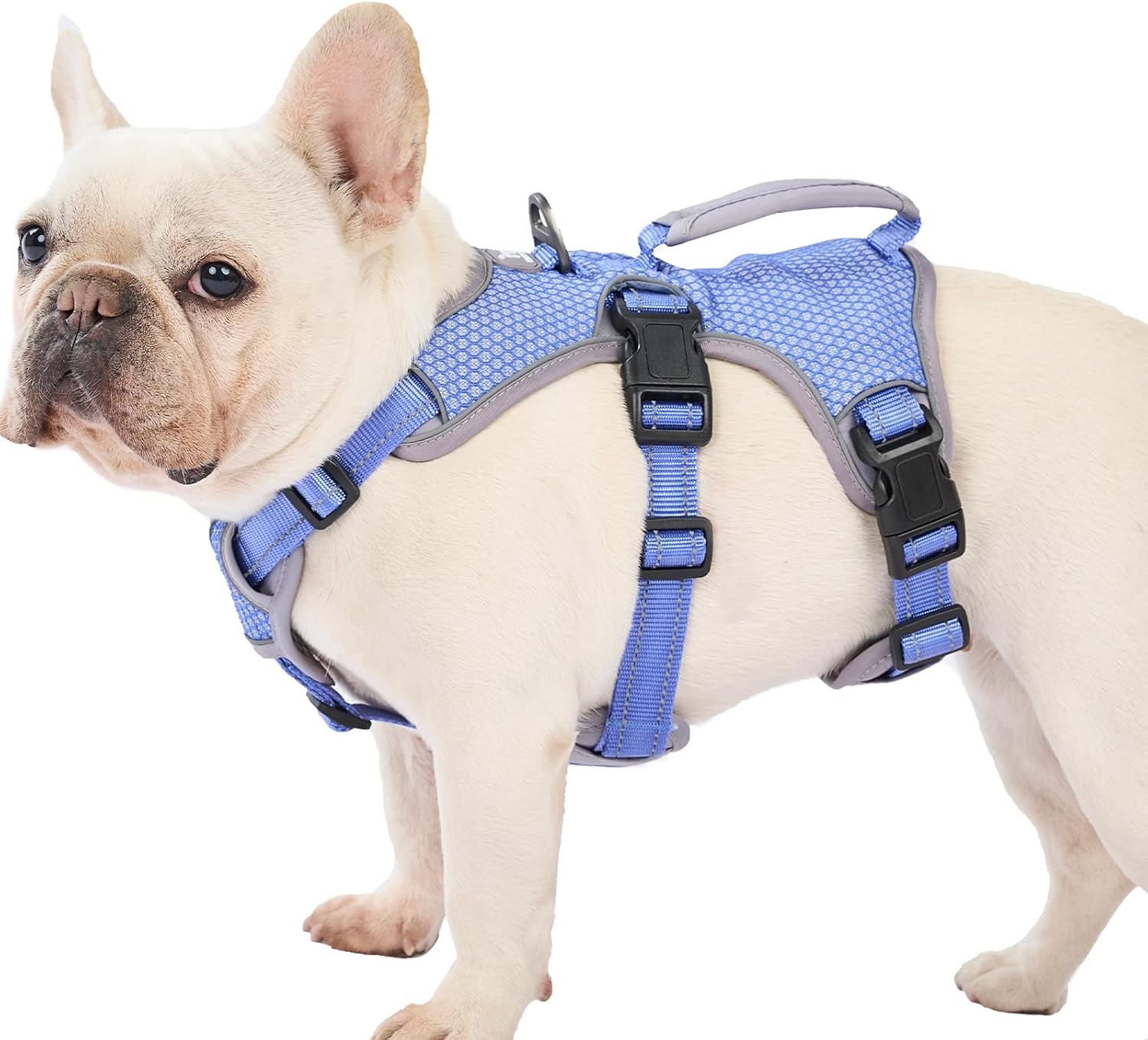 Huntboo Escape Proof Dog Harness, Escape Artist Harness, Reflective Dog Harness with Handle, Durable,Adjustable Vest for Small Medium Large Dogs Walking, Training, and Running Gear(Technicolor Blue,L)