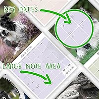 Vista 1073 de Razas de Perros 2017