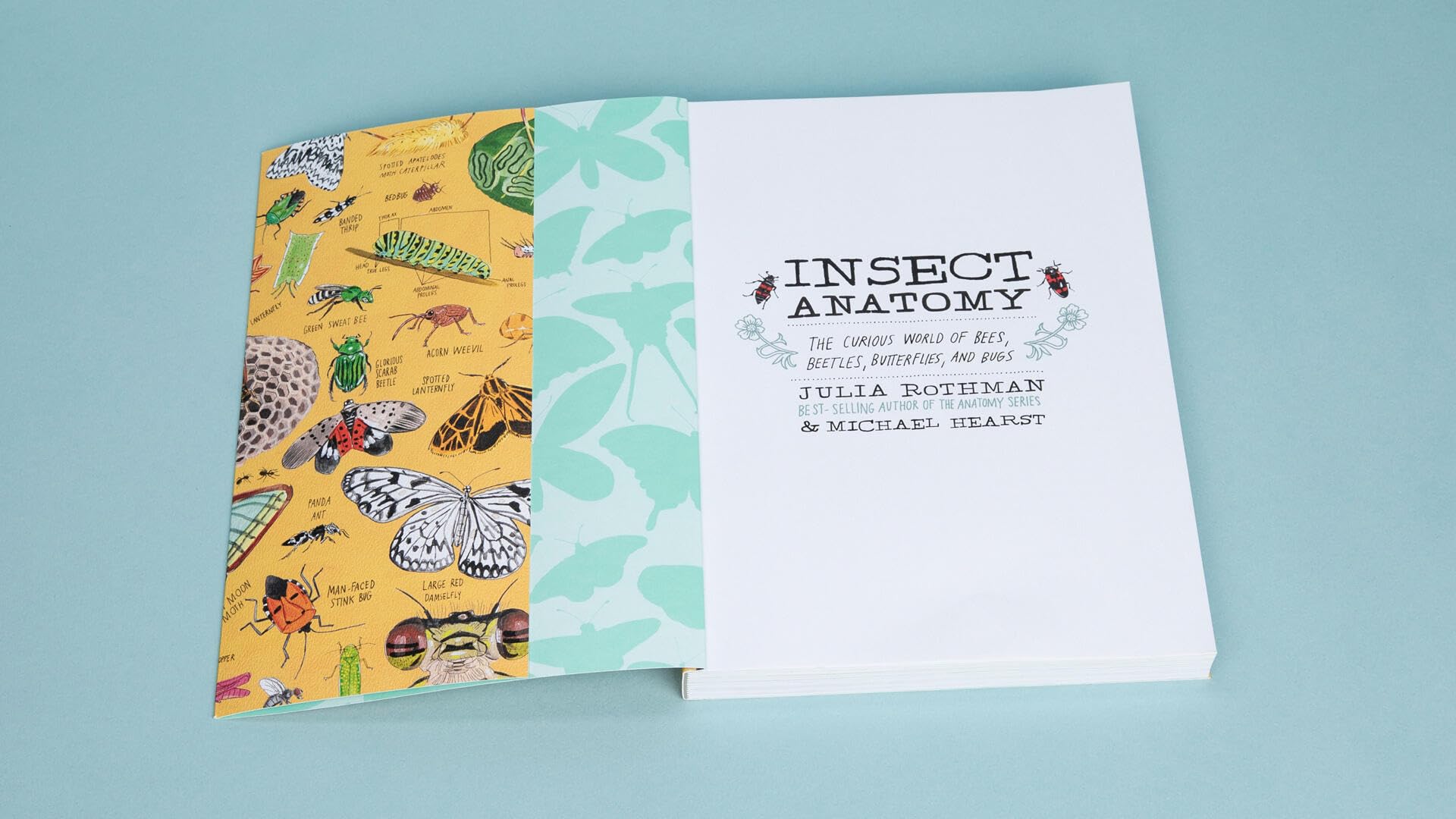 Insect Anatomy: The Curious World of Bees, Beetles, Butterflies, and Bugs