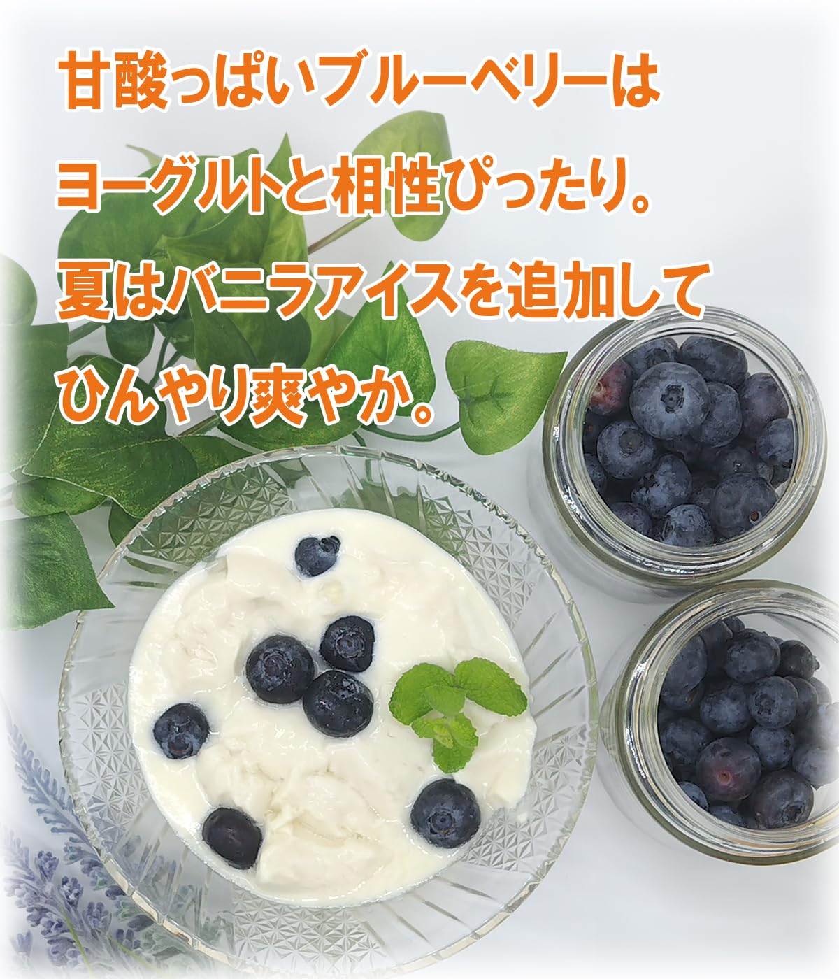 Amazon.co.jp: これはうまい！ 信州 松井農園 自然栽培 奇跡の冷凍