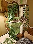 Review Image by Amazon Customer
