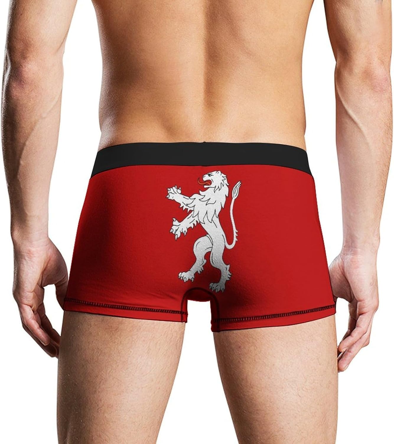 Andor Flag Novelty Men's Boxer Briefs Soft Breathable Underpants Trunks Stretch Underwear