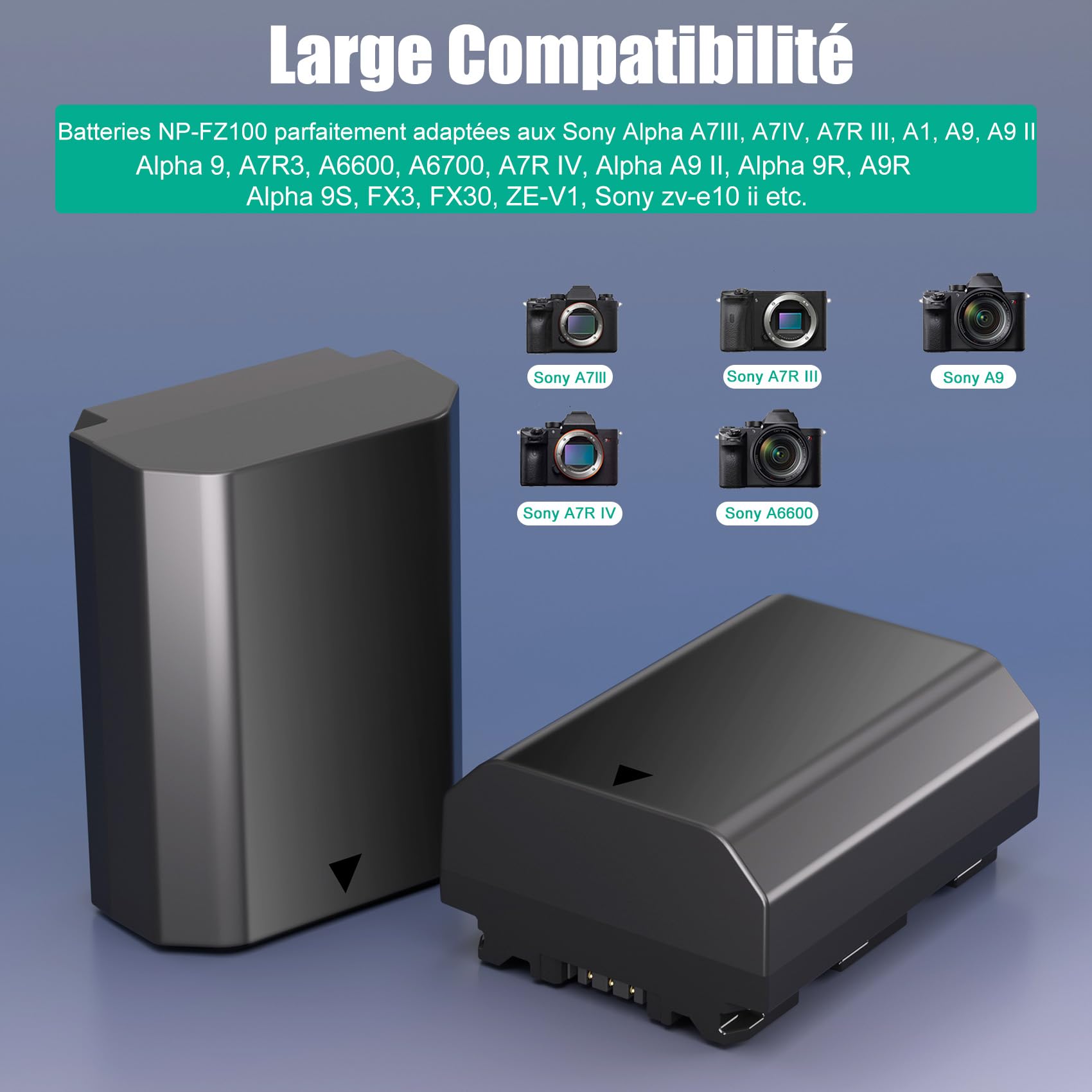 JYJZPB NP-FZ100 Lot de 2 Batteries de Rechange et Chargeur de Batterie A7iii pour Sony A7 III, Sony Alpha A7R III, A7R IV, A9, A6600, Alpha 9S, A7R3 A7S III, A7R III