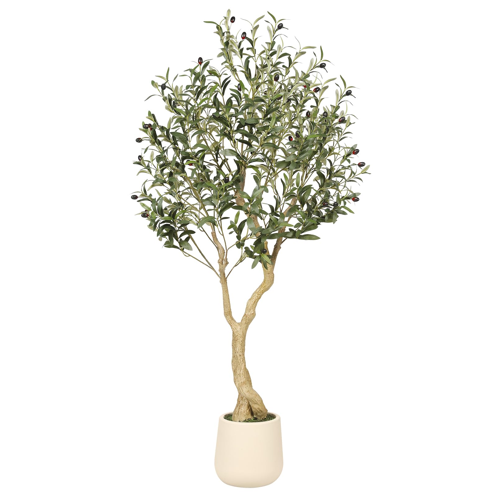 REALEAD Olive Tree 5FT