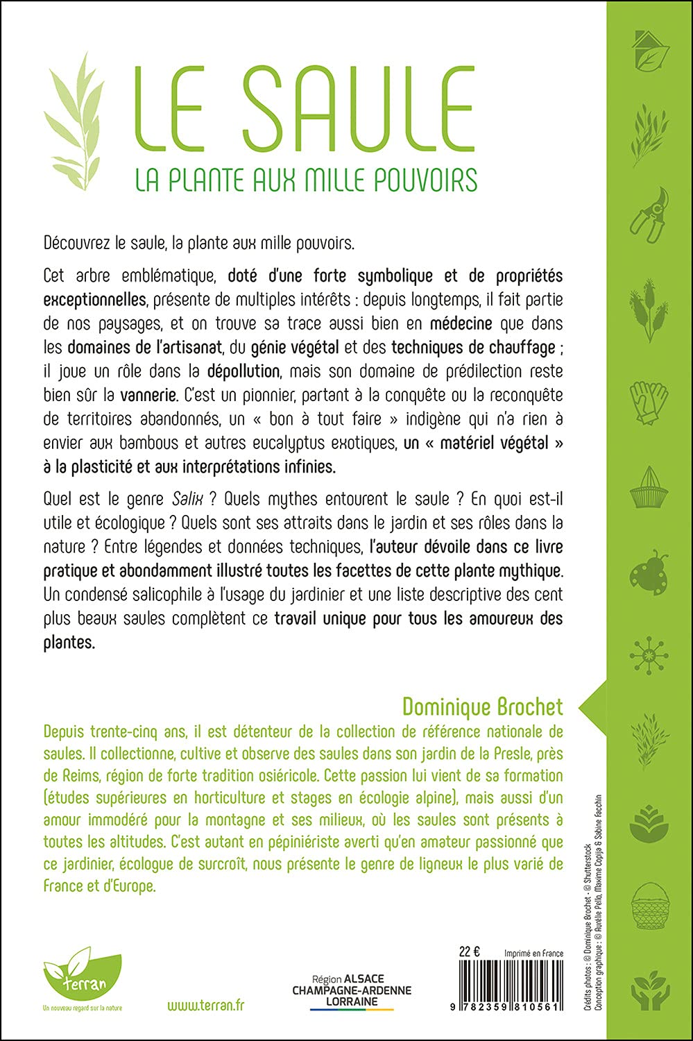 Le Saule - La plante aux mille pouvoirs