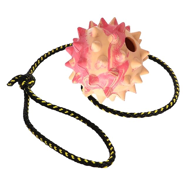 Pelota para Perro Dingo Spiky - Totalmente rellena de Goma, con Cuerda de 60 cm