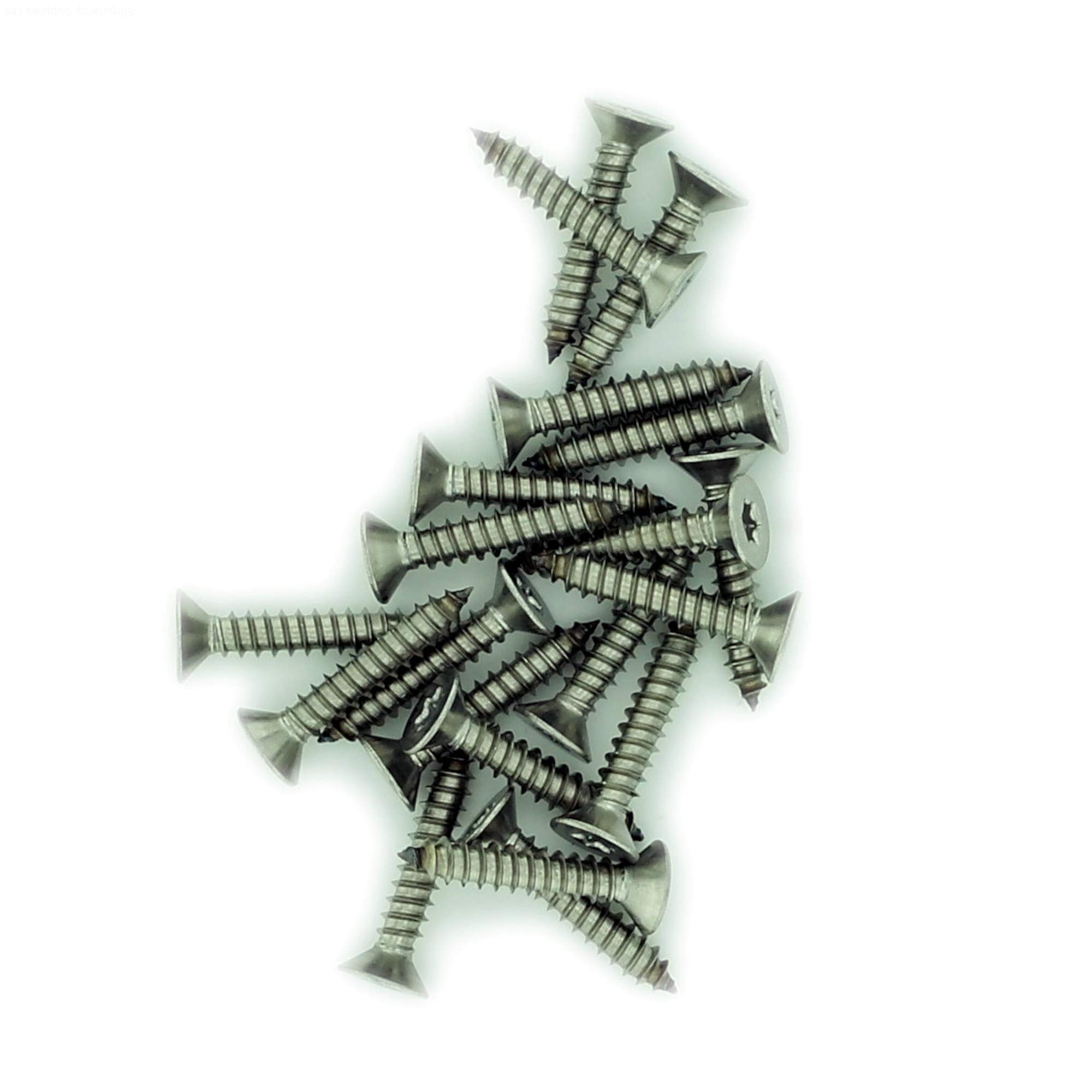 Singularity Supplies Silver No.8 X 0.875 (4.2Mm X 22Mm) Tx Countersunk Self-Tapping Screw - Stainless Steel (A2) (Pack Of 20)