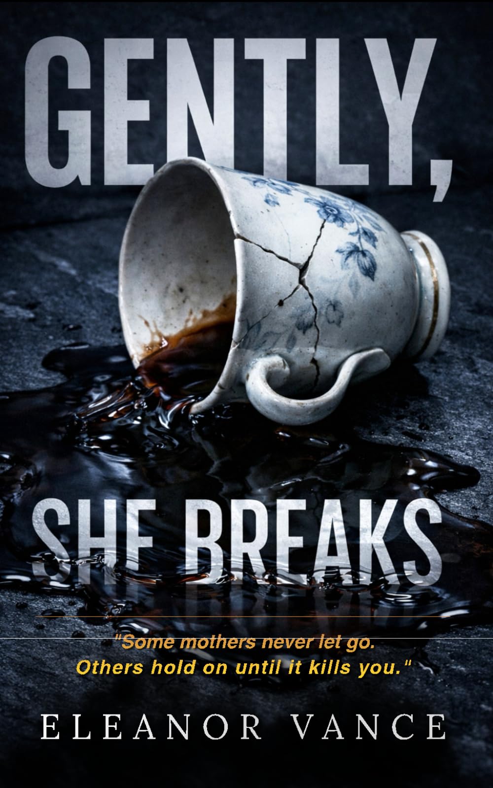 Gently, She Breaks: A Gripping Domestic Psychological Thriller of Manipulation and Family Secrets