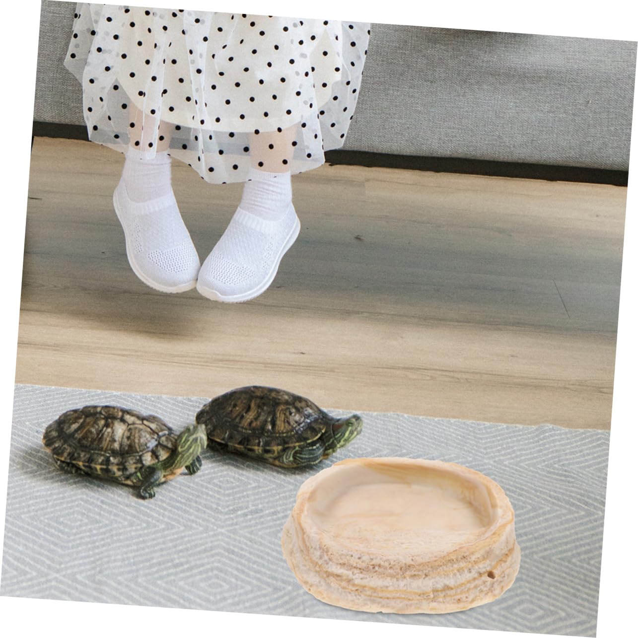 2 Cuencos de Resina para Reptiles, Diseño y Borde Antivuelco, para Reptiles y Ranas en Terrario