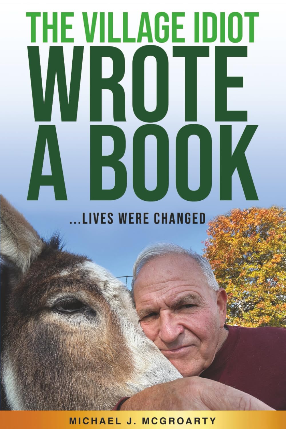 The Village Idiot Wrote a Book: . . . Lives were changed