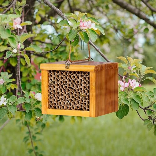 Miniatura 6 de Mason Bee House - Hotel con revestimiento de cera para el jardín, madera natural hecha a mano impermeable, atrae polinizadores pacíficos a tu jardín