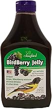Songbird Essentials Bird Berry Jelly 20 Oz