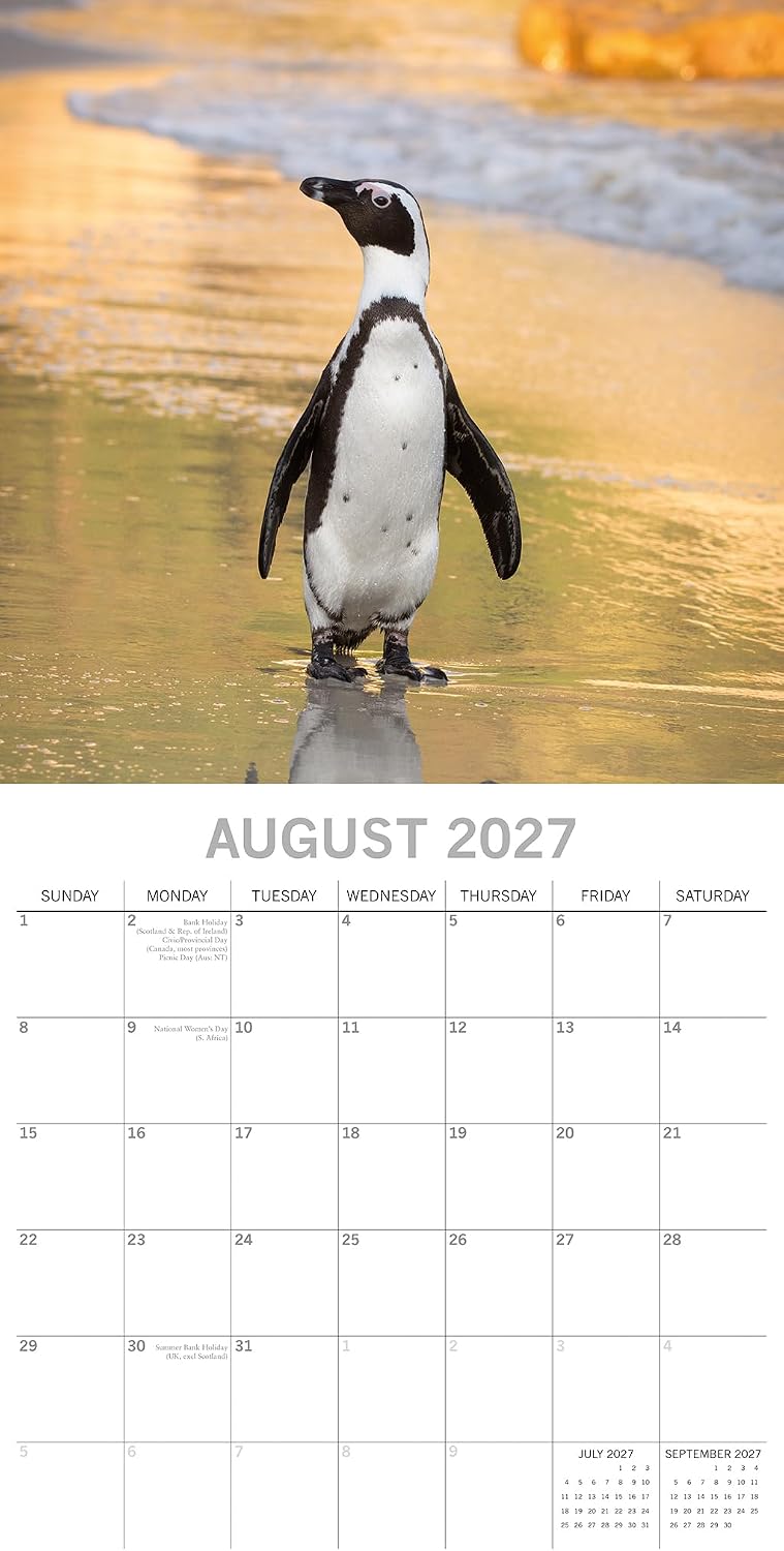 2027 Square Wall Calendar - Penguins 12 x 12 Inch Monthly View, 16-Month, Animals Theme, Includes 324 Reminder Stickers image 3