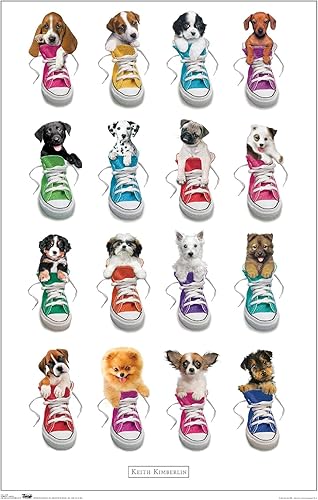 Trends International Keith Kimberlin - Póster de pared de cachorros en zapatos, 22.375 x 34 pulgadas, versión premium sin marco