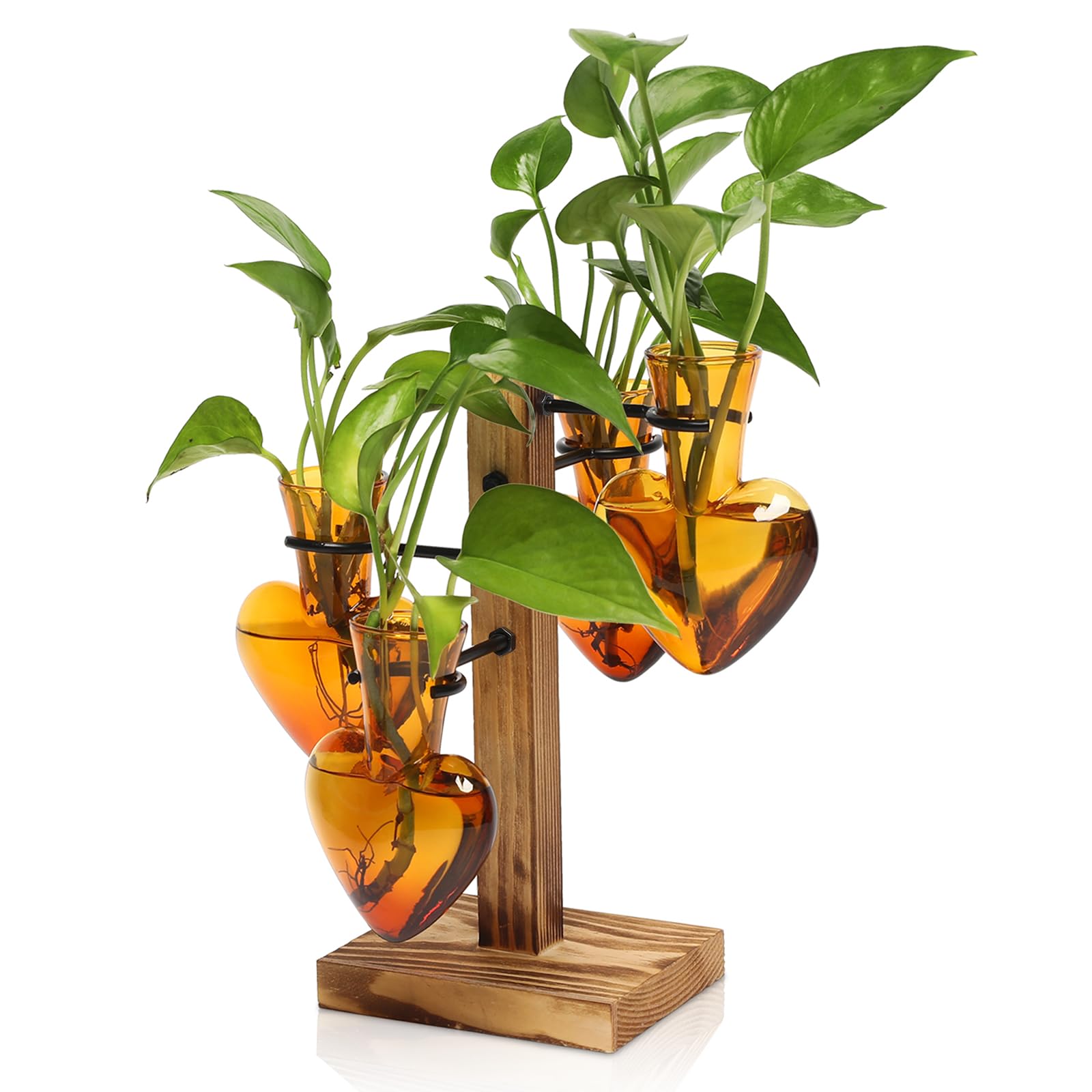 CYZglass Plant Terrarium Propagation Station