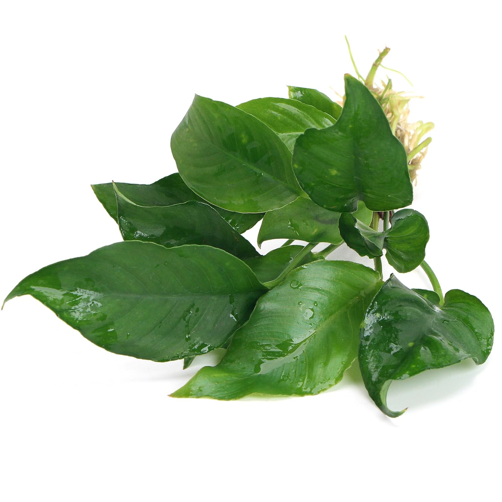 View 3