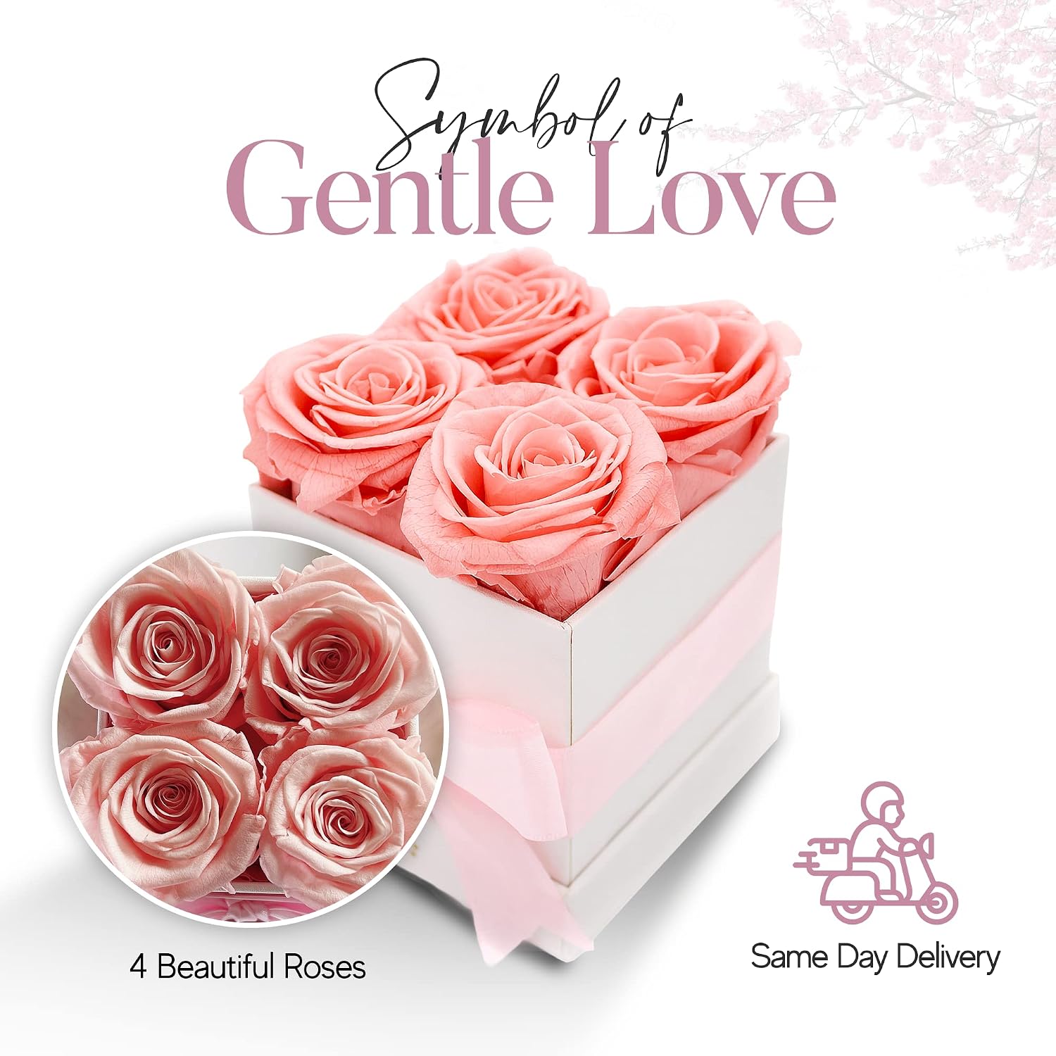 AROMEO 4 Blush Pink Roses | A Gift That Lasts | Preserved Fresh Flowers for Delivery Prime | Roses for Her, Mom, Girlfriend, Wife, Anniversary, Birthday, Wedding | Forever Roses Fresh Cut