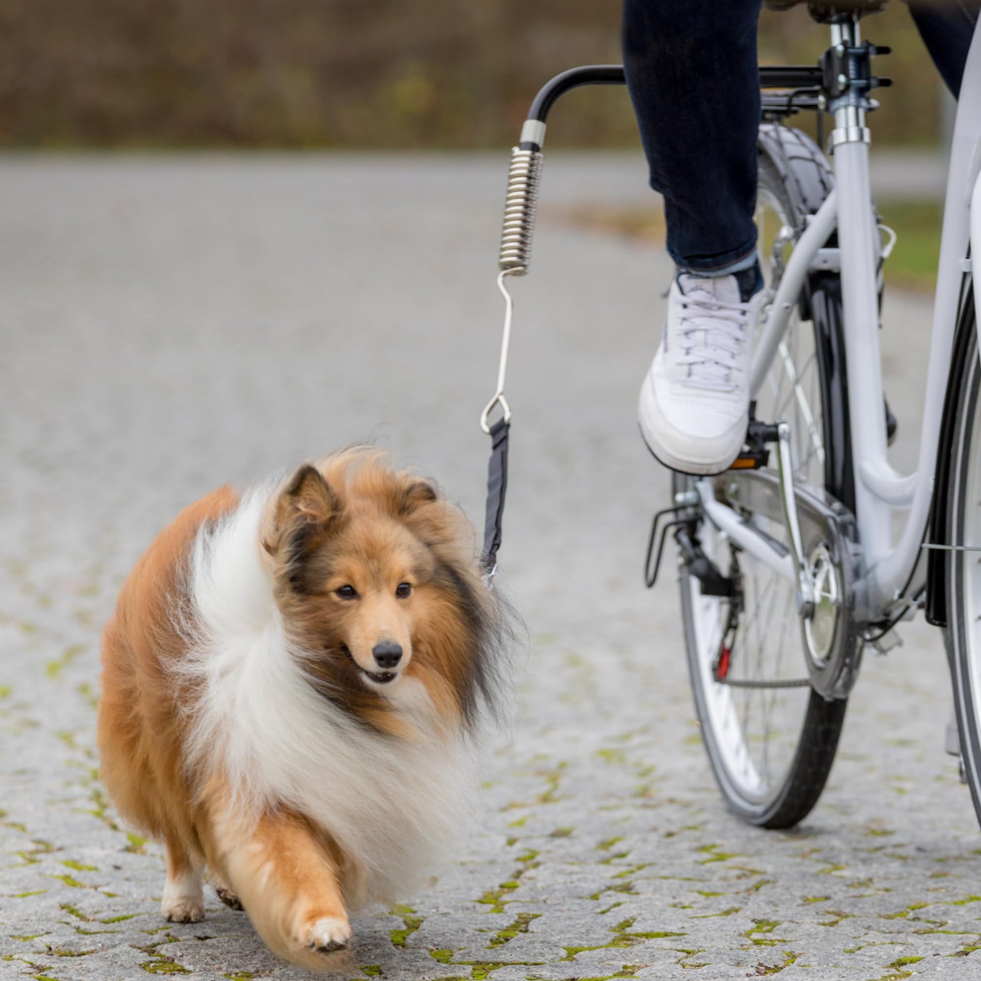 TRIXIE Hunde Biker-Set – Fahrradleine zur Befestigung an der Sattelstange – Spiralfeder, Sicherheitsschnellverschluss & Reflektoren – für kleine & mittelgroße Hunde – Größe S–M