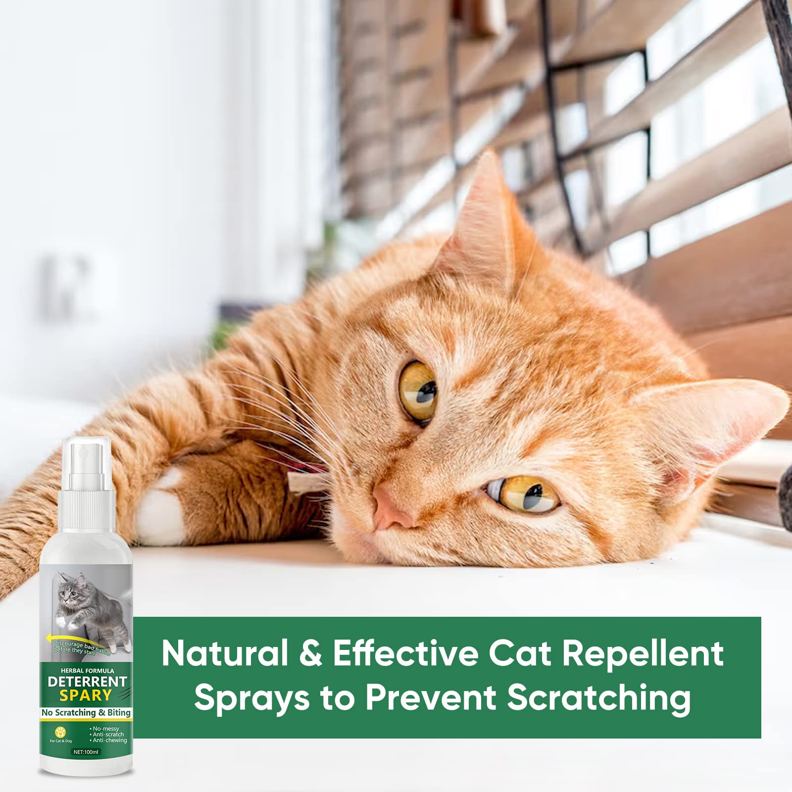 Repellente Per Gatti, Efficace Naturale Dissuasore per Gatti&Cani per mobili la Protezione del Divano del Pavimento