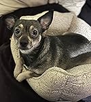 Review Image by muffin muffin