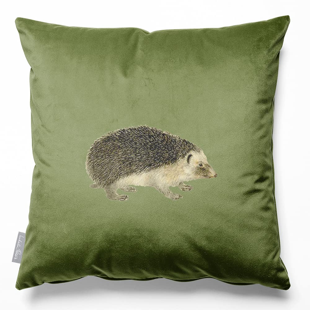 Izabela Peters Hedgehog - Sage Velvet Cushions - Eco-Friendly, Filled, 40 Cm, Chair & Sofa Cushions