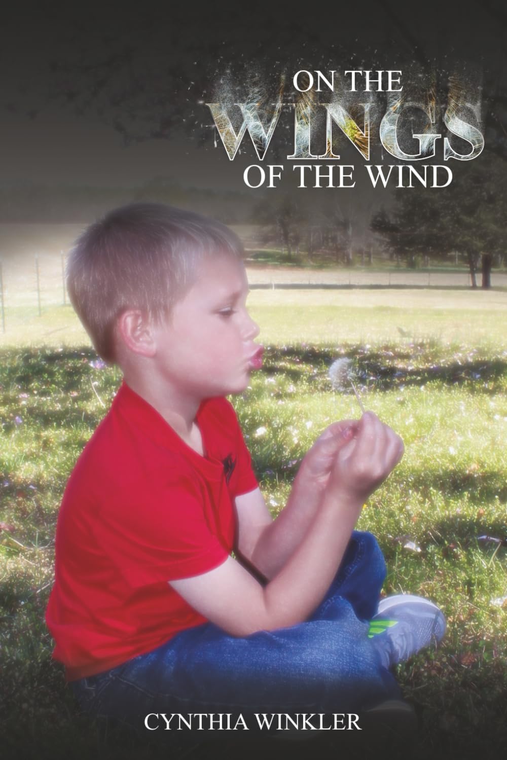 On the Wings of the Wind