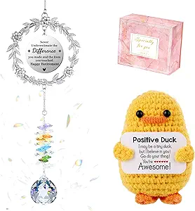 Retirement Gifts for Woman, Teacher Retirement Gifts for Women Sun Catcher Duck Love You Gift Suncatchers for Windows Hanging Stainless Steel Sun Catcher Grandma Basket Set