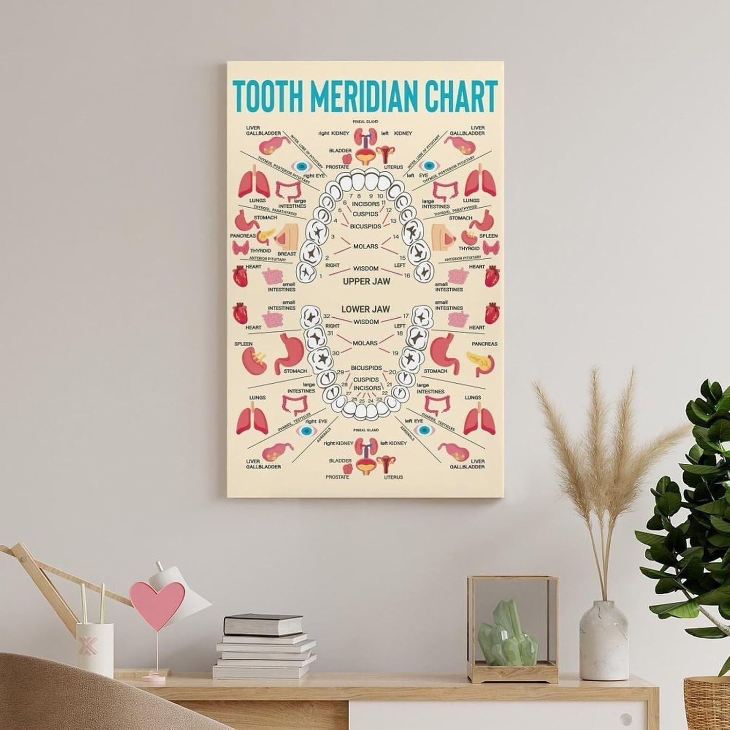 Modern Mouth Anatomy Art Print, Minimalist Dental Chart Canvas for Orthodontist Lobby, Medical Office, Study Room Wall(Unframed,12x18inch(30x45cm))